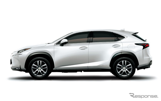 �׿���˹NX