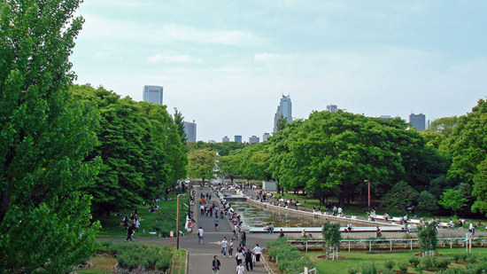 日本东京代代木公园31日重新开放 曾因登革热