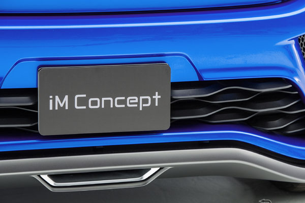 ¸iM Concept