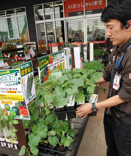 日本黄金周:在庭院或阳台种植蔬菜 轻松打造家