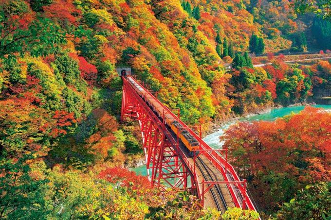 日本旅游景点:撒手人寰之前必须去一次的日本秋景