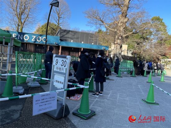 1月12日早晨8点30分左右，上野动物园的入口处在开园前就排起了长队。人民网 吴颖摄